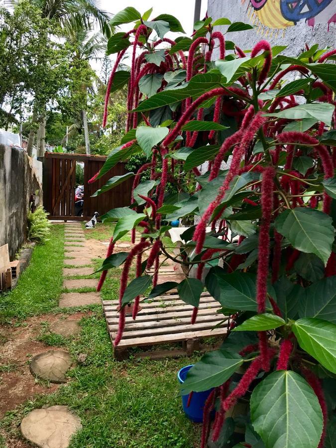 Pousada Tia Cleide Caraguatatuba Exterior photo